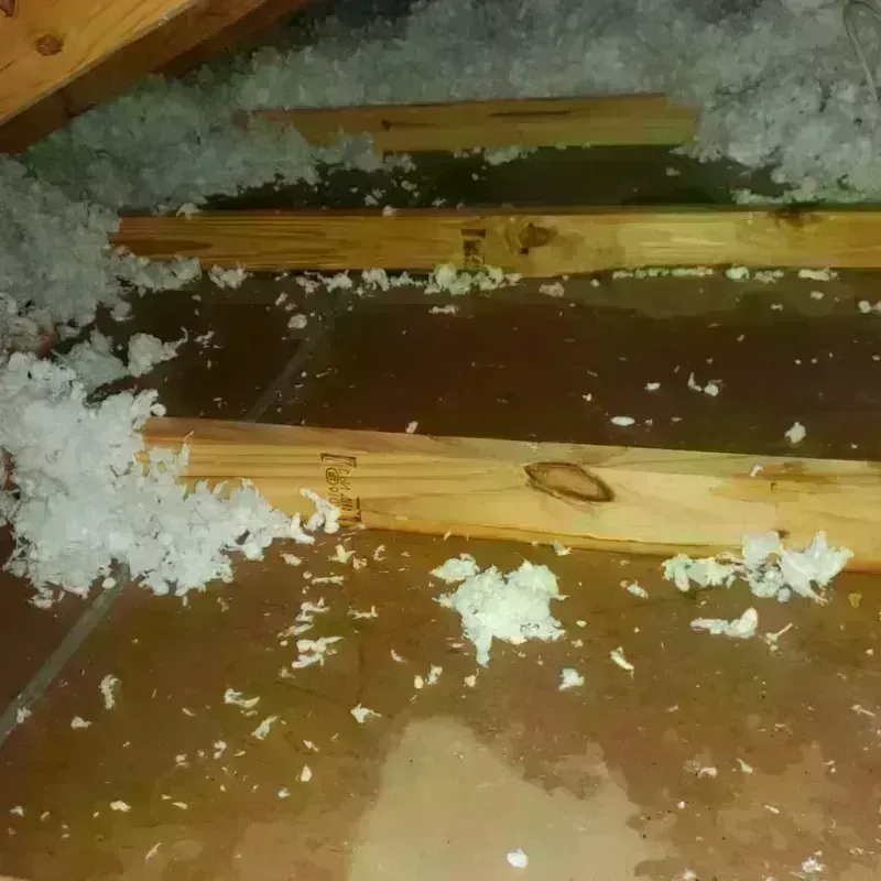 Attic Water Damage in Houston County, MN