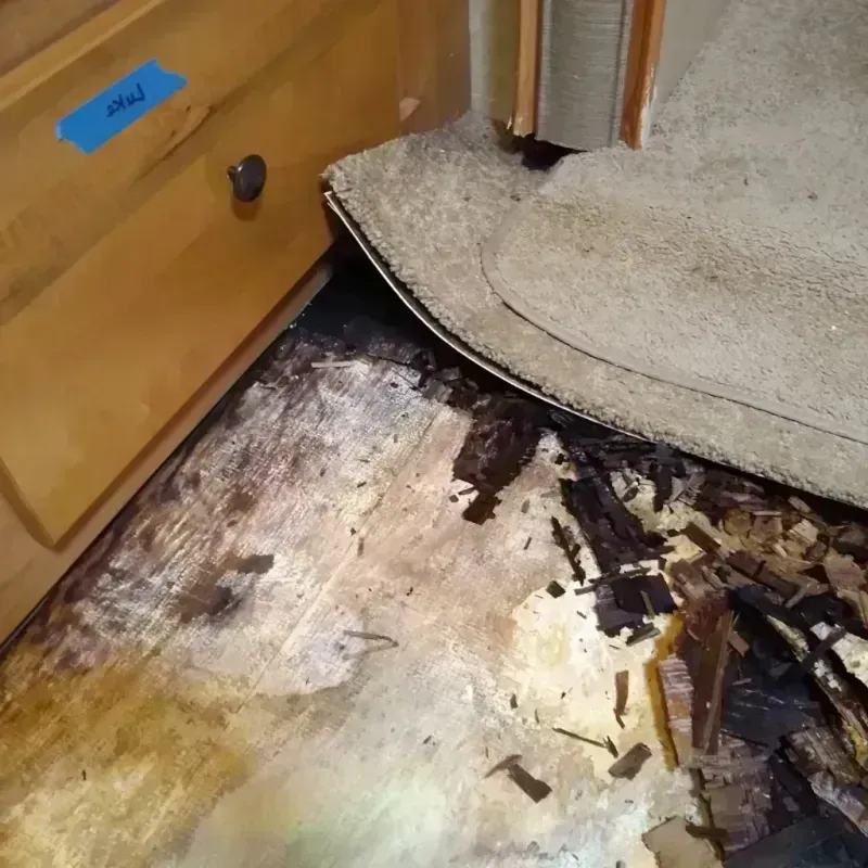 Wood Floor Water Damage in Houston County, MN